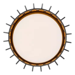 Außen Deckenleuchte Aludra