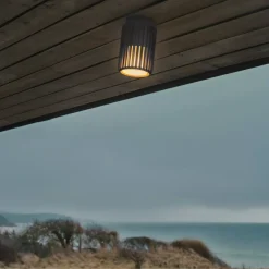 Außen Deckenleuchte Aludra