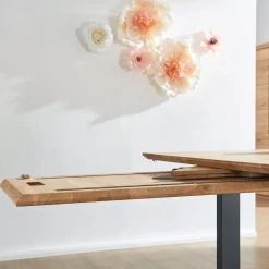 Auszugstisch TI-0594