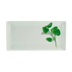 BBQ Platte Kräuter-Basilikum