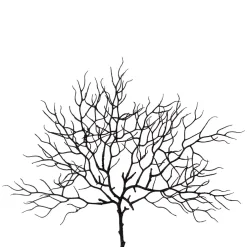 Corallenzweig 1119510-94