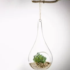 Deko-Sukkulente im Glastropfen