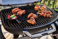 Elektrogrill mit klappbarem Wagen TravelQ PRO285EX-BK-CE
