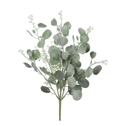 Eucalyptusblattbusch