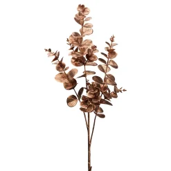 Eucalyptuszweig 1323502-38