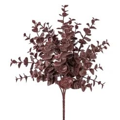 Eukalypthusbusch Eukalypthusbusch