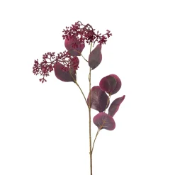 Eukalypthushängezweig