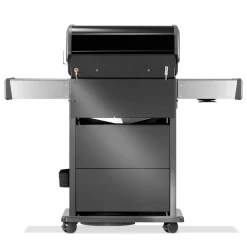 Gasgrill RPS425RSIBPK-2-DE-R