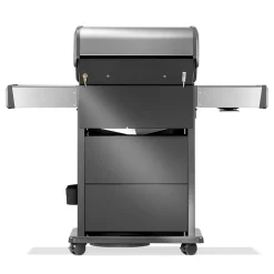 Gasgrill RPS425RSIBPSS-2-DE