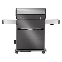 Gasgrill RPS525RSIBPSS-2-DE