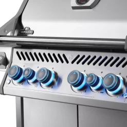 Gasgrill RPS525RSIBPSS-2-DE