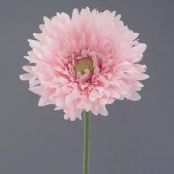 Gerbera gefüllt