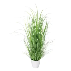 Gras im weißen Melamintopf