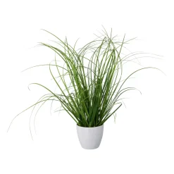 Gras im weissen Kunststofftopf