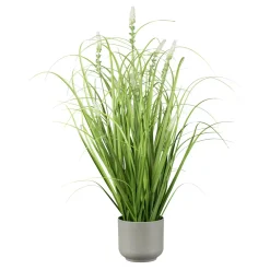 Gras mit Salvien im grauen Melamintopf