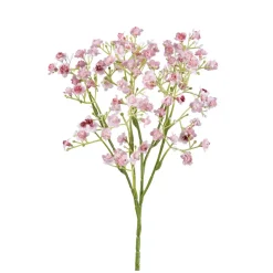 Gypsozweig (Schleierkraut)