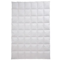 Kassettendecke Golf von Alaska