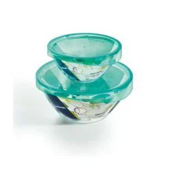 Keep´n bowlSchalen-Set mit Deckel 4-tlg Keep n Bowl