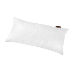 Kopfkissen Regeneration