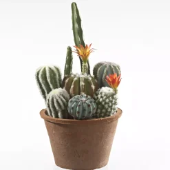 Kunstpflanze Sukkulenten