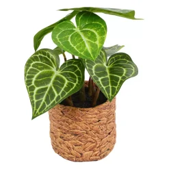 Kunstpflanze Syngonium