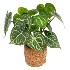 Kunstpflanze Syngonium