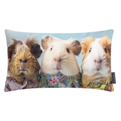 Magma Dekokissen CRAZY