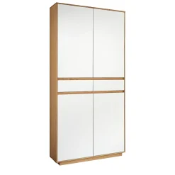 Mehrzweckschrank V100