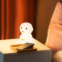 Mobiles Nachtlicht Leo