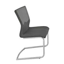 MONDO Schwinger Amati