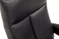 Relaxsessel Superior 8001 F3EL2