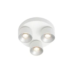 3-Rondel Spotlight Pitcher