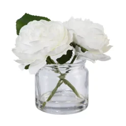 Rosen im Glas Rosen im Glas