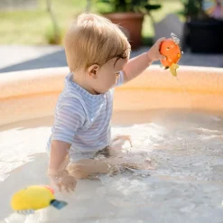 Set mit Spritztiere Fisch & Krabbe