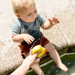 Set mit Spritztiere Fisch & Krabbe