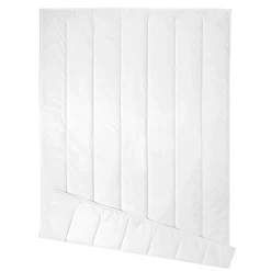 Sommerdecke Regeneration