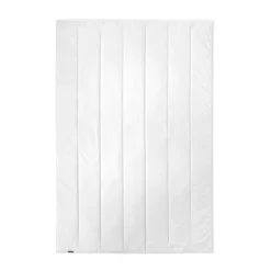 Sommerdecke Regeneration