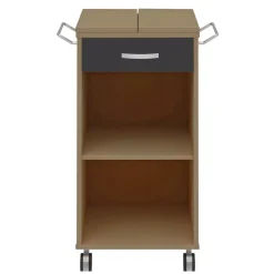 Stehpult mit Rollen Techno 19