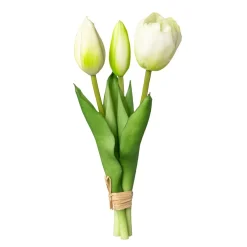 Tulpenbund Tulpenbund x3